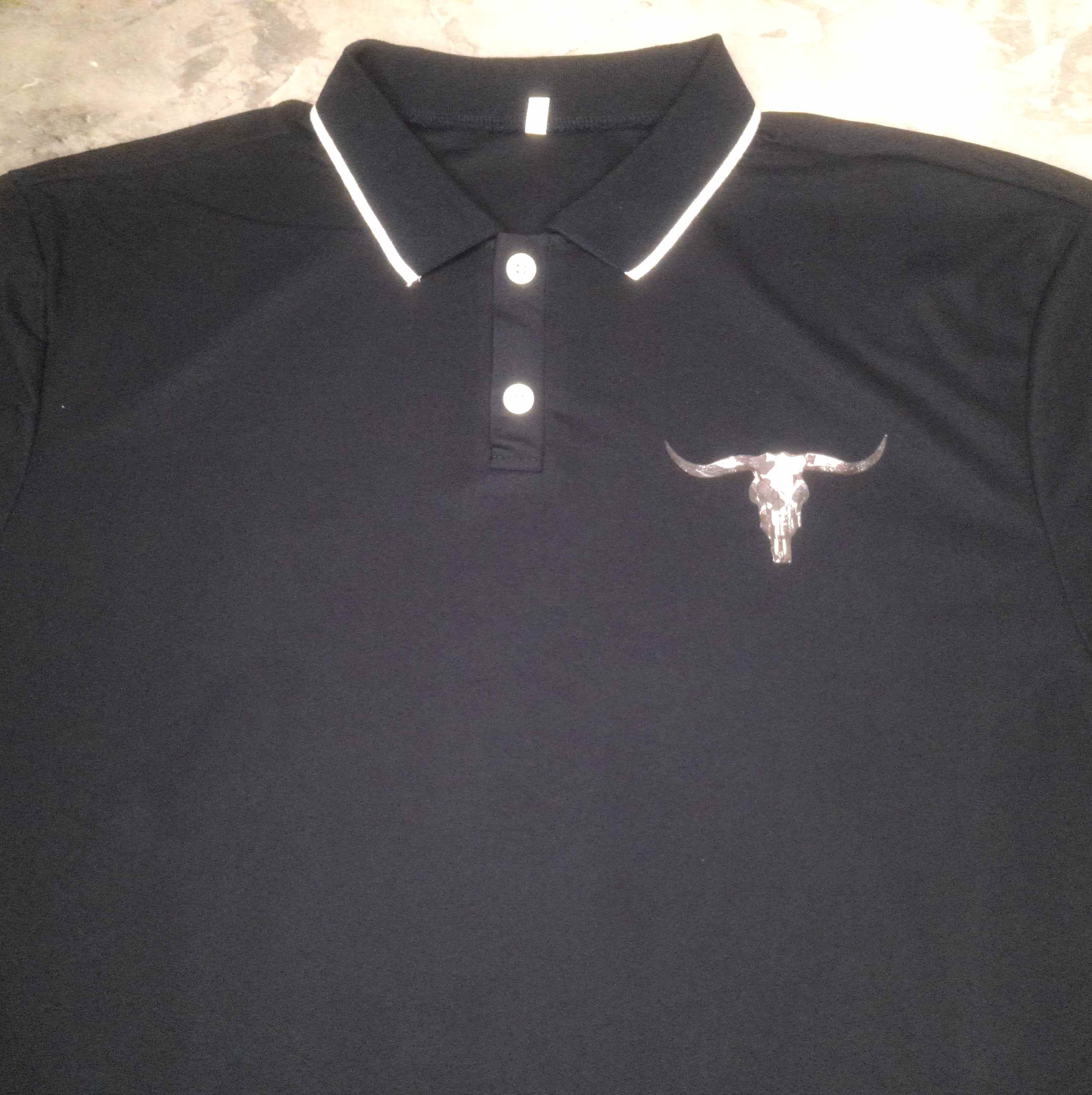 polo2