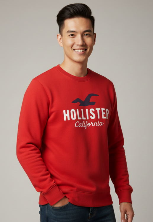 hollister1