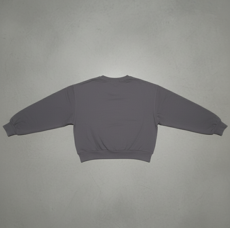 nasa3