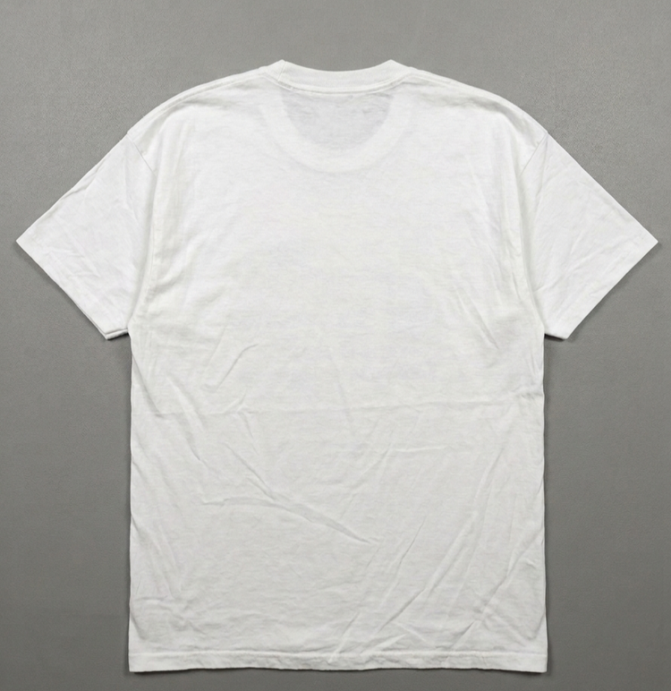تیشرت مردانه استوک HANES