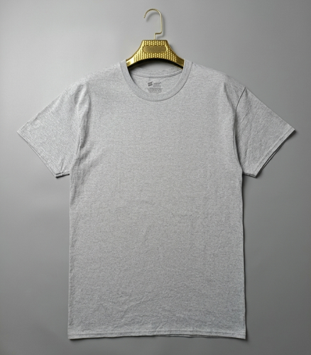 تیشرت مردانه استوک HANES