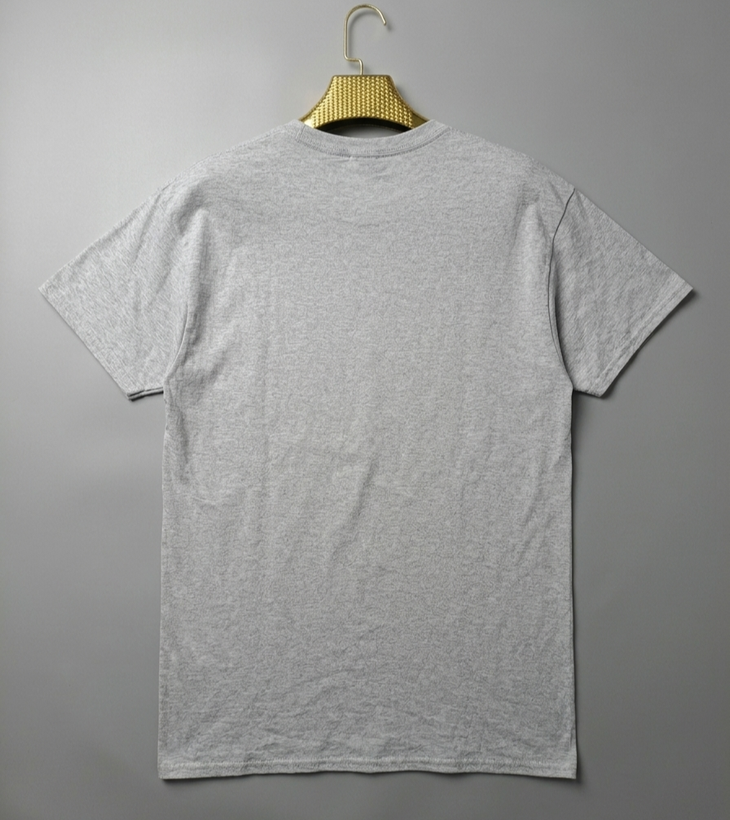 تیشرت مردانه استوک HANES