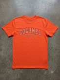 تیشرت مردانه و پسرانه ورزشی استوک GOZUMEL